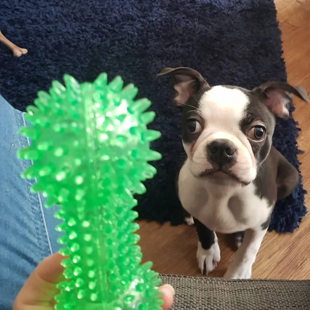 Max
